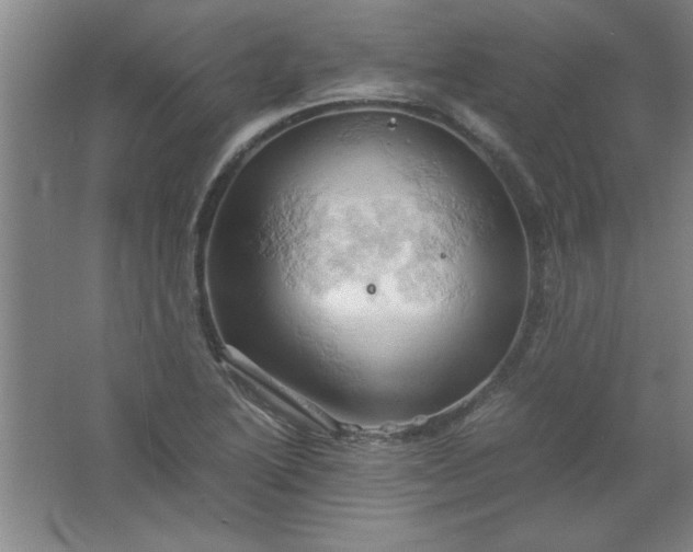 X0000061741222200512161641