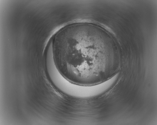 X0000061741223200512161641