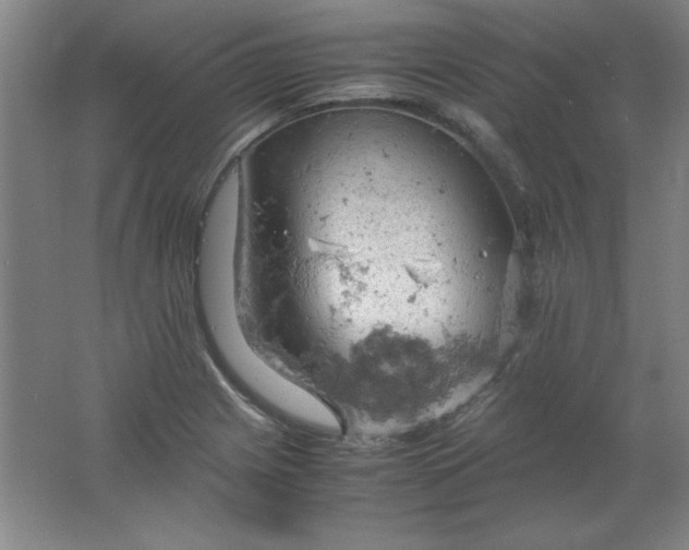 X0000061741225200512161641