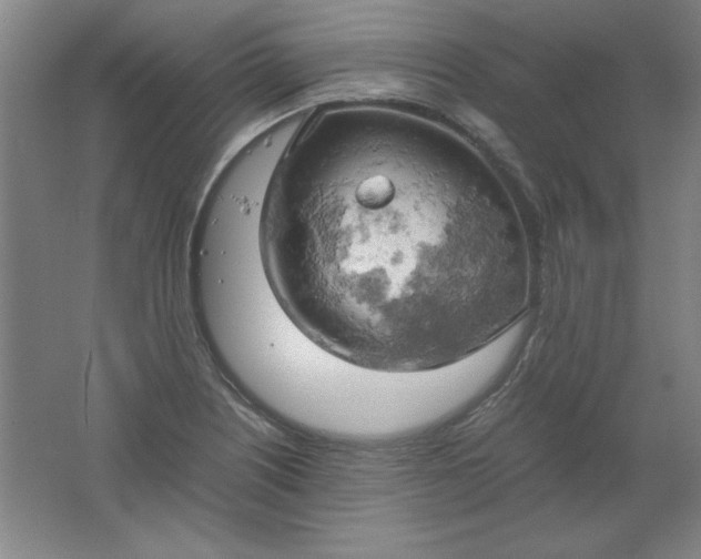 X0000061741226200512161641