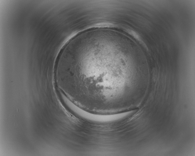 X0000061741229200512161641