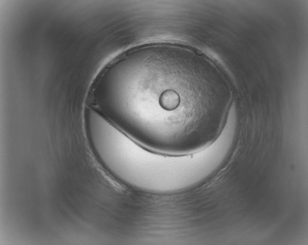 X0000061741230200512161641