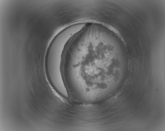 X0000061741231200512161641