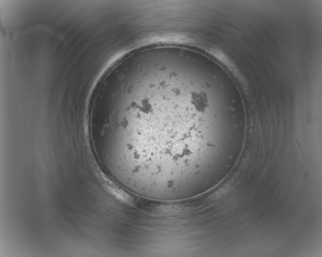 X0000061741232200512161641