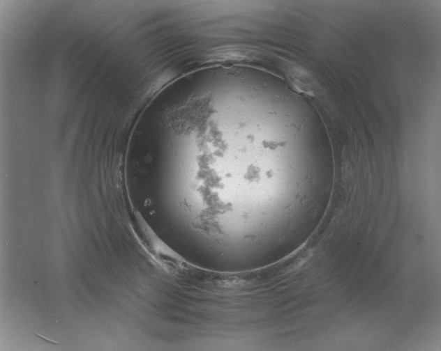 X0000061741233200512161641