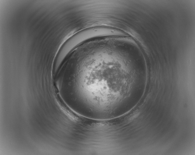 X0000061741234200512161641