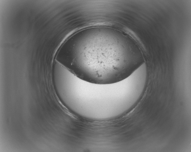 X0000061741236200512161641