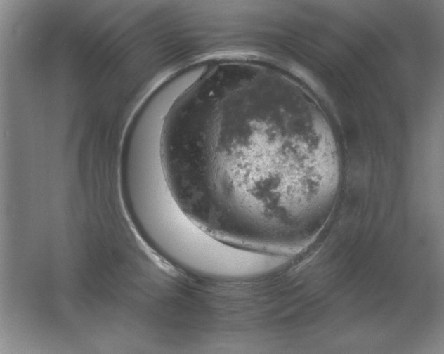 X0000061741237200512161641