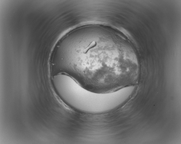 X0000061741238200512161641