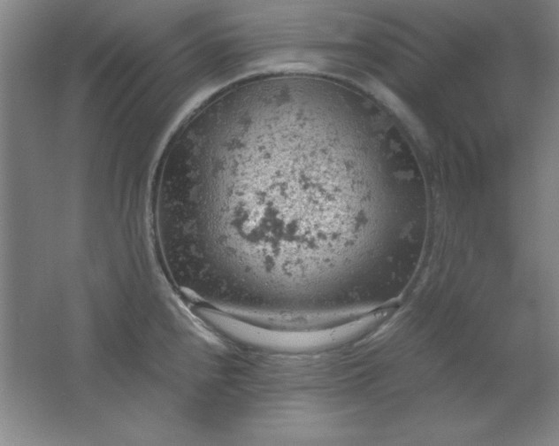 X0000061741240200512161641