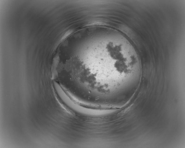 X0000061741241200512161641