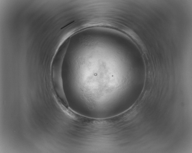 X0000061741242200512161641