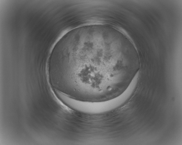 X0000061741243200512161641