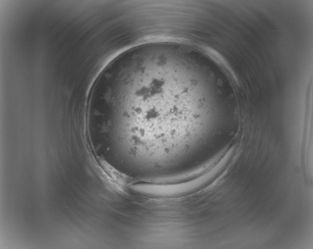 X0000061741244200512161641