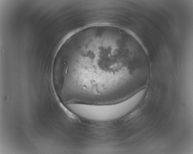 X0000061741245200512161641