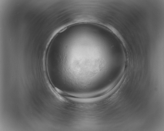 X0000061741246200512161641