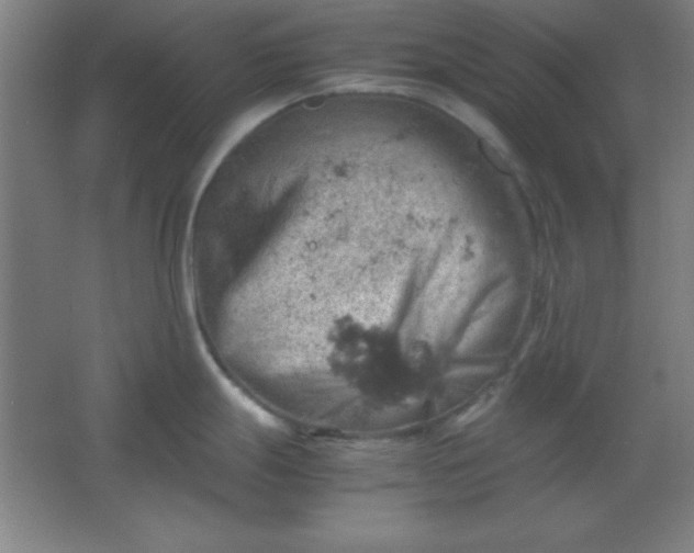 X0000061741247200512161641