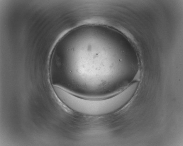 X0000061741248200512161641