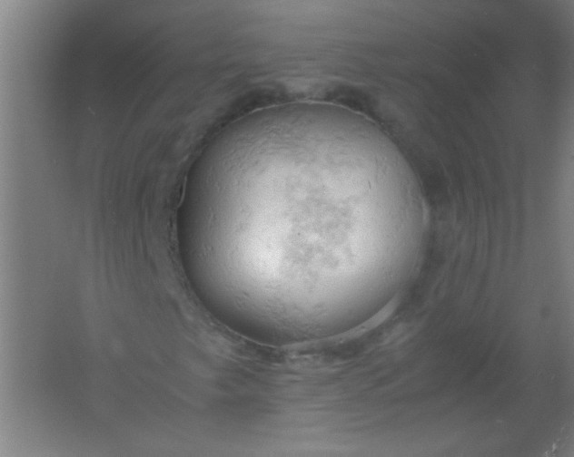 X0000061741249200512161640