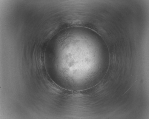 X0000061741250200512161640