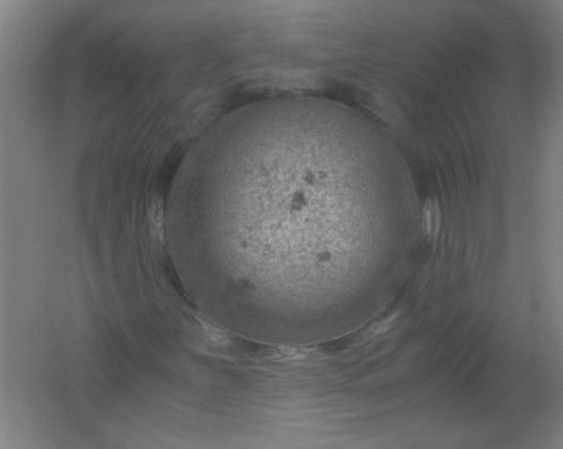 X0000061741251200512161640