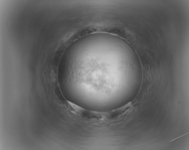 X0000061741253200512161640