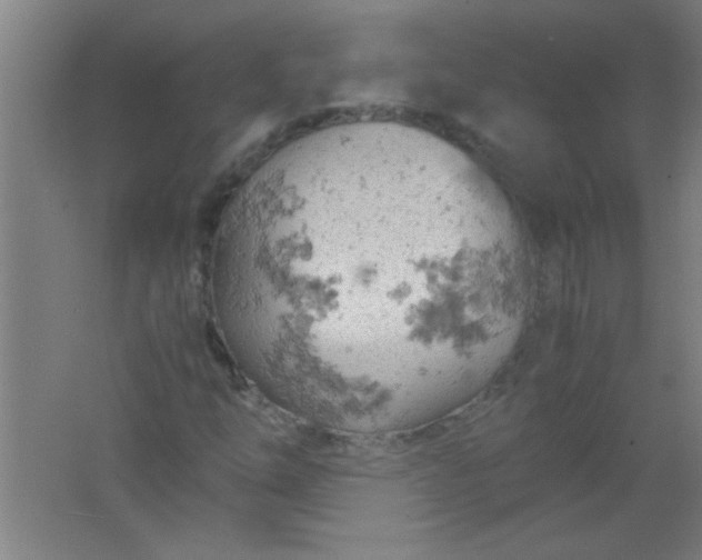 X0000061741254200512161640