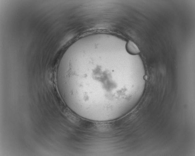 X0000061741258200512161640