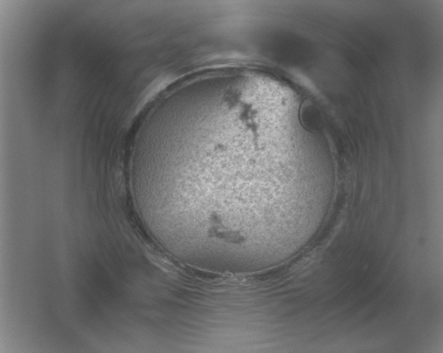 X0000061741259200512161640