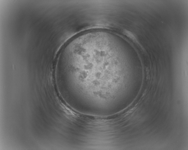 X0000061741260200512161640