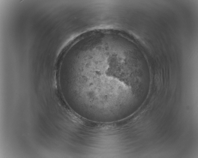 X0000061741262200512161640