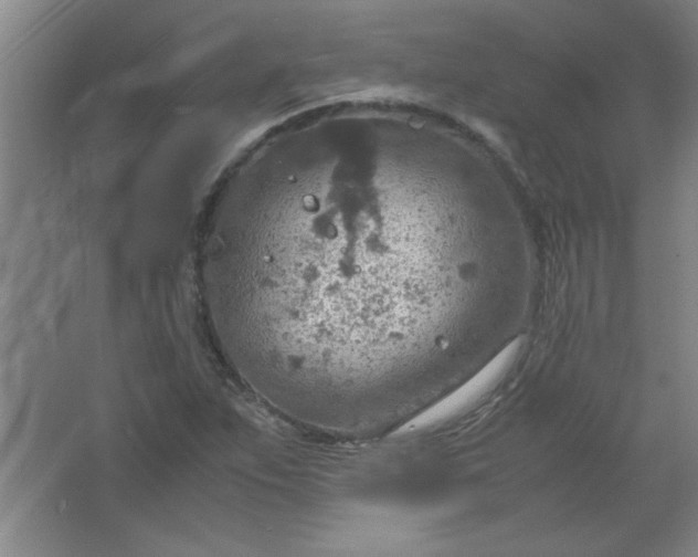 X0000061741263200512161640