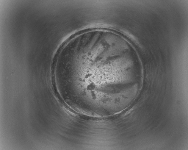 X0000061741264200512161640