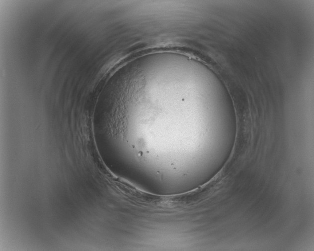 X0000061741265200512161640