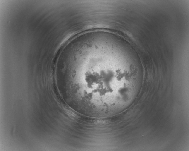 X0000061741266200512161640