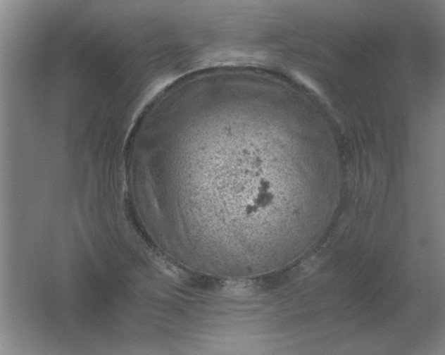 X0000061741267200512161640