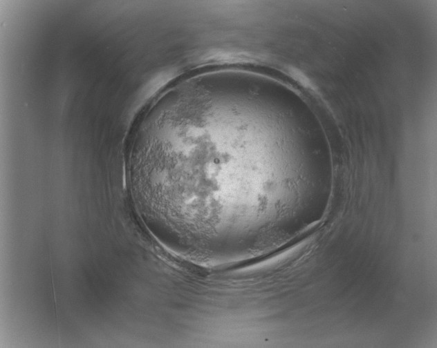 X0000061741269200512161640