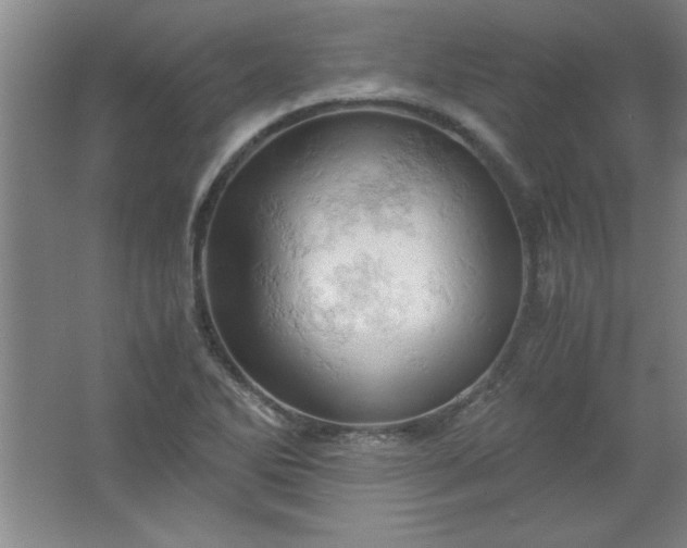 X0000061741270200512161640