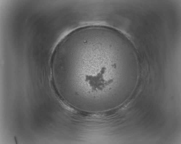 X0000061741271200512161640