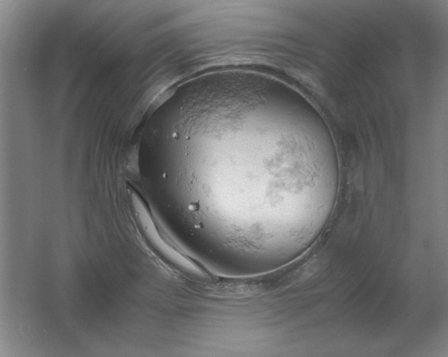 X0000061741273200512161640