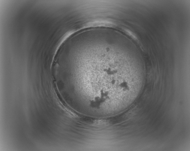 X0000061741275200512161640