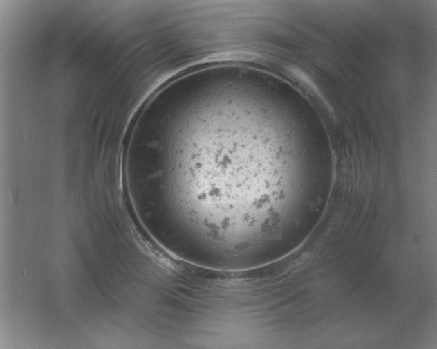 X0000061741276200512161640