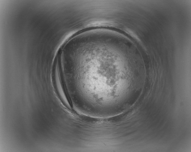 X0000061741277200512161640