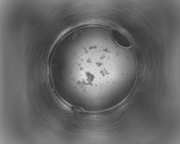 X0000061741280200512161640