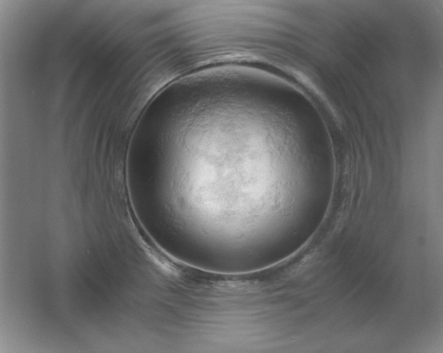 X0000061741281200512161640