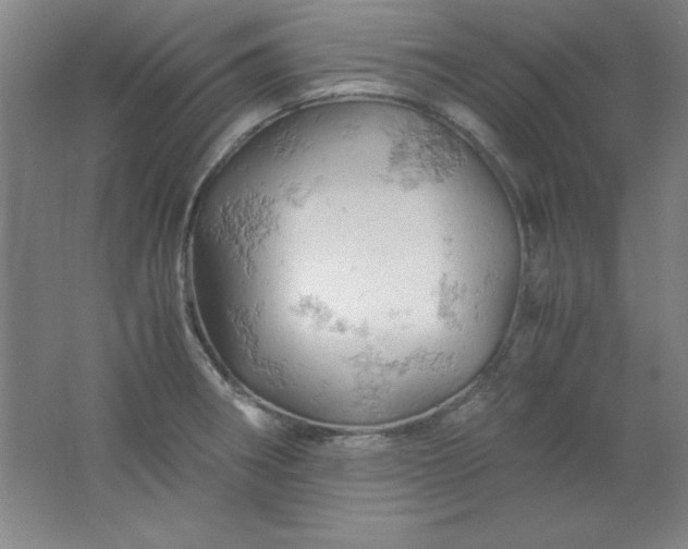 X0000061741282200512161640