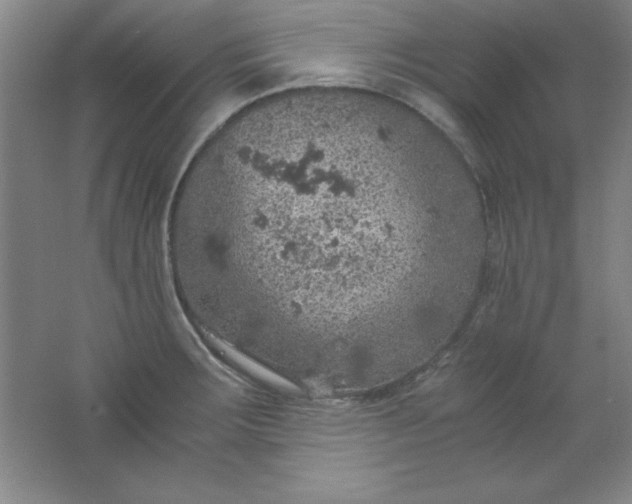 X0000061741283200512161640