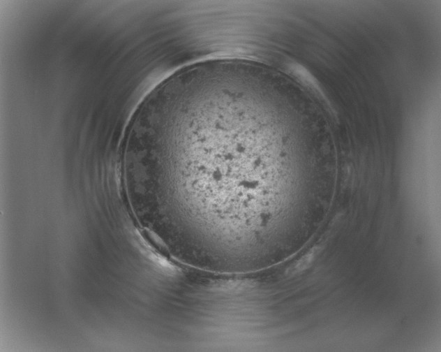 X0000061741284200512161640