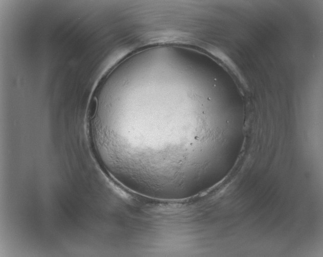 X0000061741285200512161640