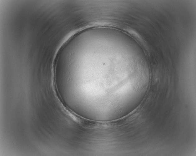 X0000061741286200512161640